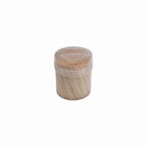 500PCS/CN TOOTHPICK 2END POINT