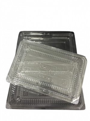 225X145X50MM OPS CLEAR LOCKING BOX