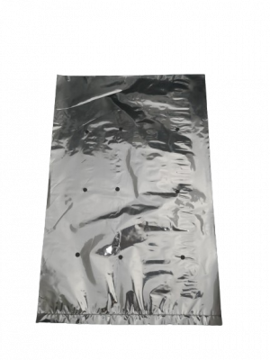 PP W/HOLE BAG 8 X 10IN, 0.035MM